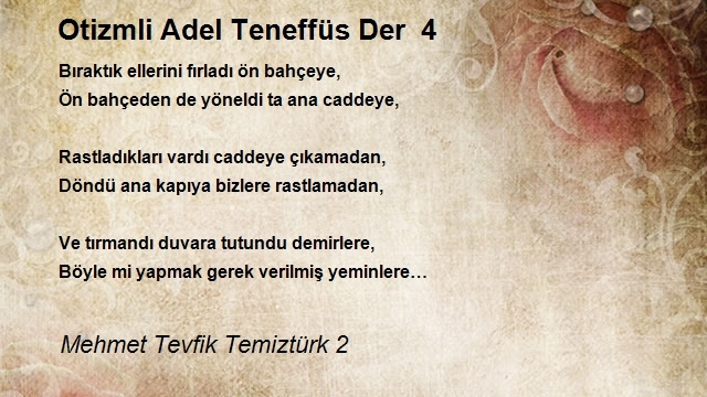 Mehmet Tevfik Temiztürk 2