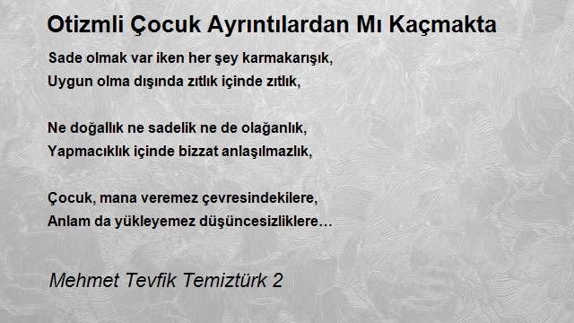 Mehmet Tevfik Temiztürk 2