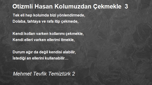 Mehmet Tevfik Temiztürk 2