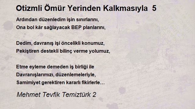 Mehmet Tevfik Temiztürk 2