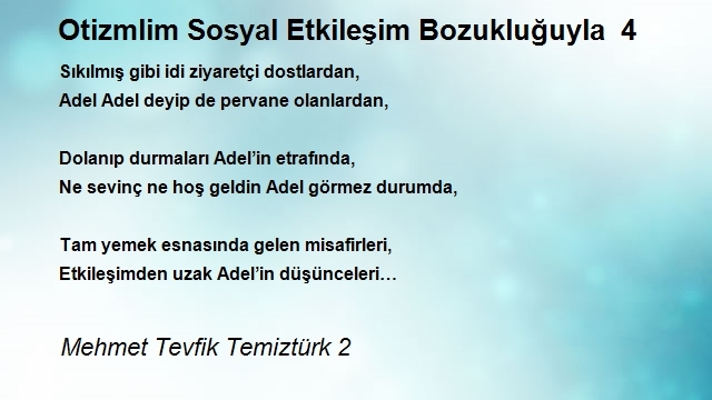 Mehmet Tevfik Temiztürk 2