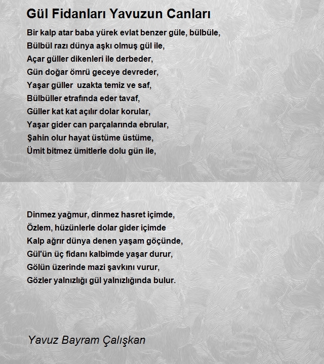 Yavuz Bayram Çalışkan