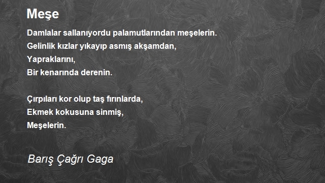 Barış Çağrı Gaga