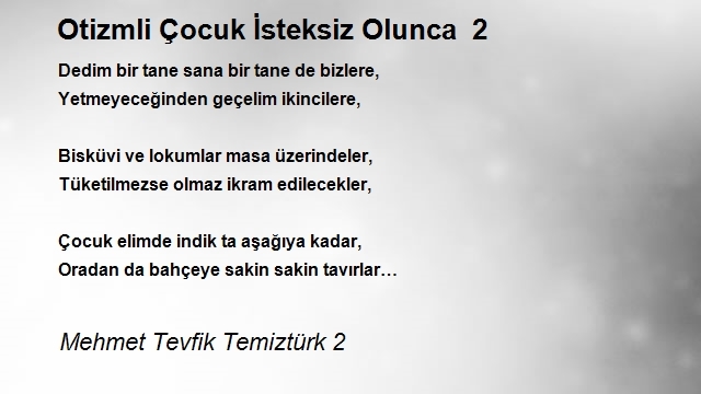 Mehmet Tevfik Temiztürk 2