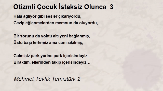 Mehmet Tevfik Temiztürk 2