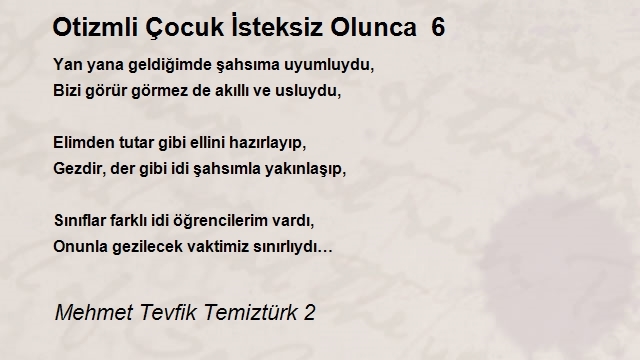 Mehmet Tevfik Temiztürk 2