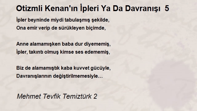 Mehmet Tevfik Temiztürk 2