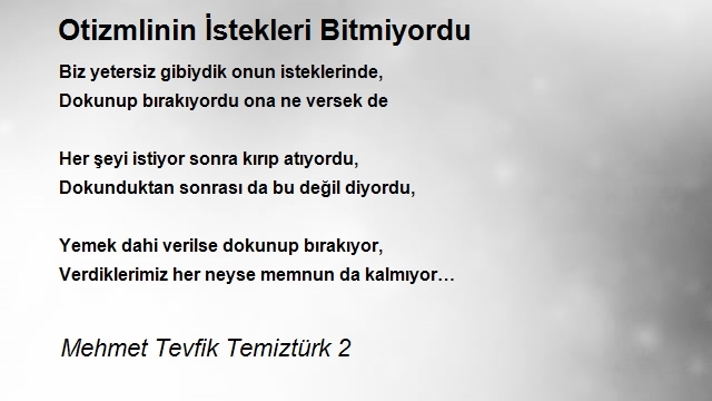 Mehmet Tevfik Temiztürk 2