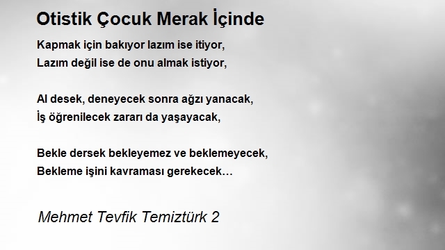 Mehmet Tevfik Temiztürk 2