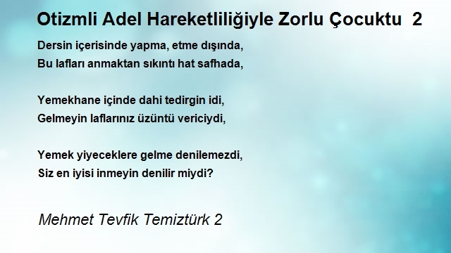 Mehmet Tevfik Temiztürk 2