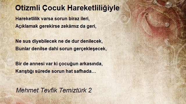 Mehmet Tevfik Temiztürk 2