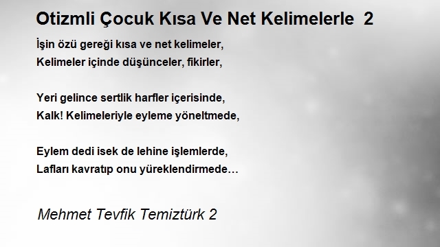 Mehmet Tevfik Temiztürk 2