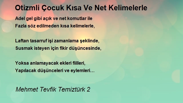 Mehmet Tevfik Temiztürk 2