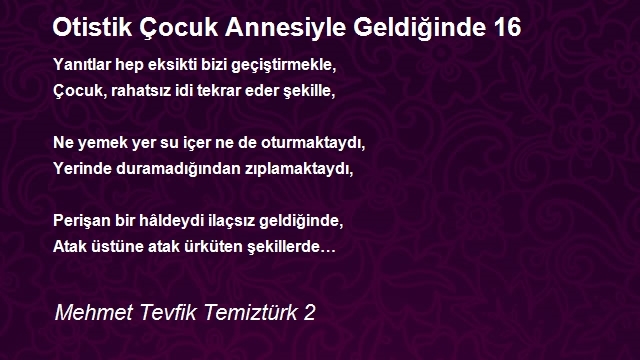 Mehmet Tevfik Temiztürk 2