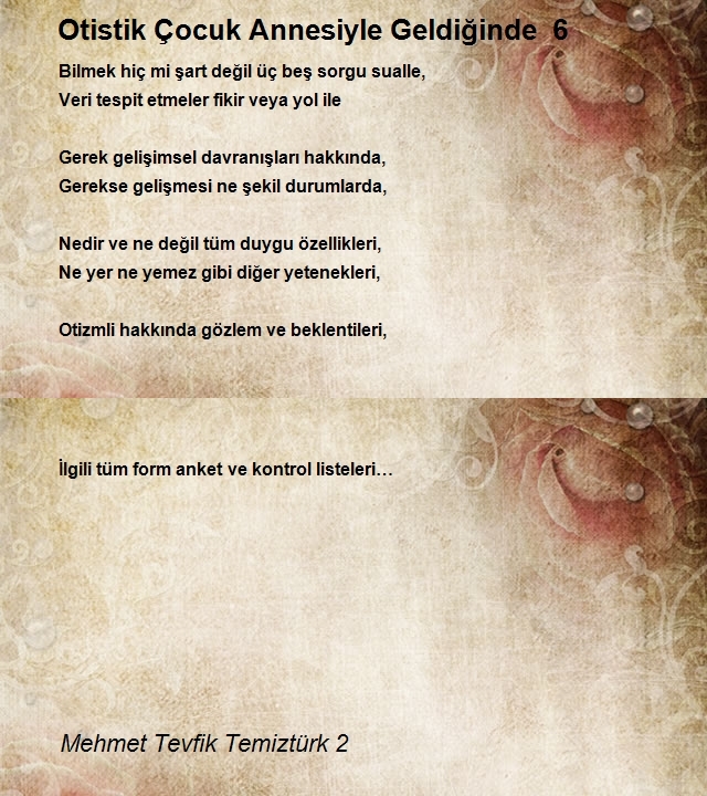 Mehmet Tevfik Temiztürk 2