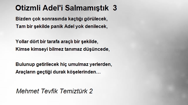 Mehmet Tevfik Temiztürk 2