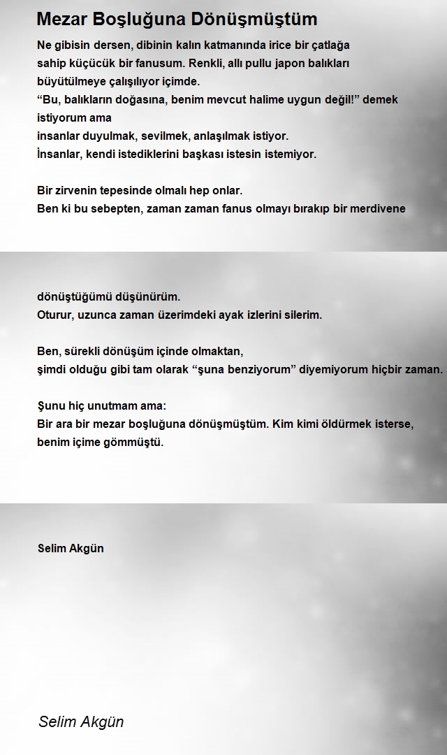 Selim Akgün