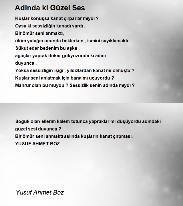 Yusuf Ahmet Boz