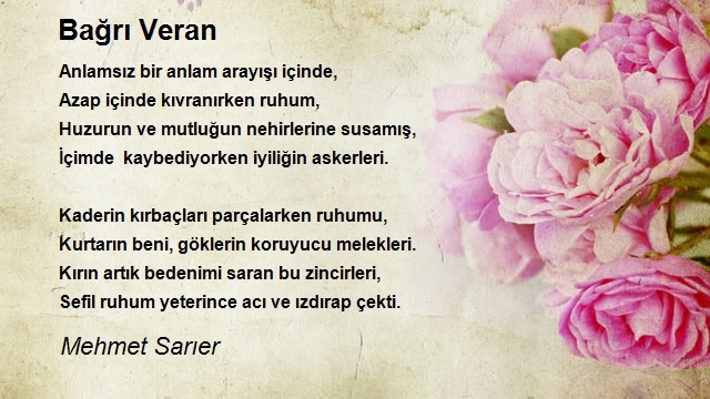 Mehmet Sarıer