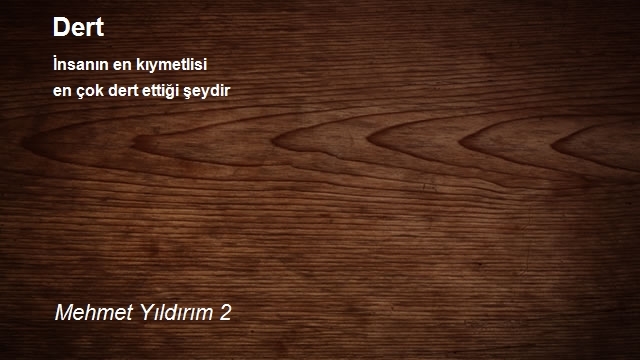 Mehmet Yıldırım 2