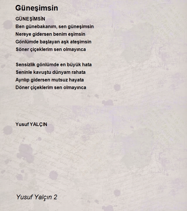 Yusuf Yalçın 2