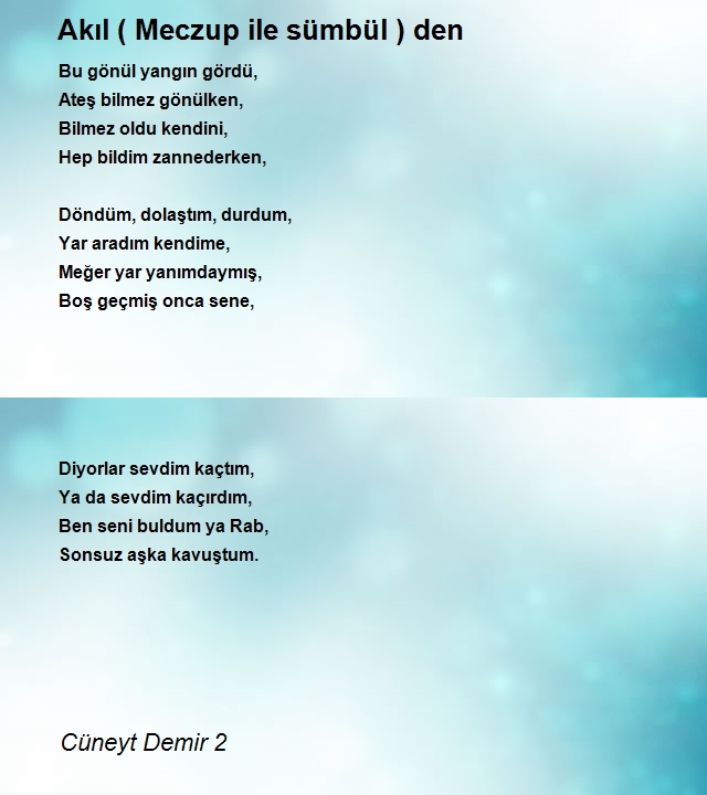 Cüneyt Demir 2