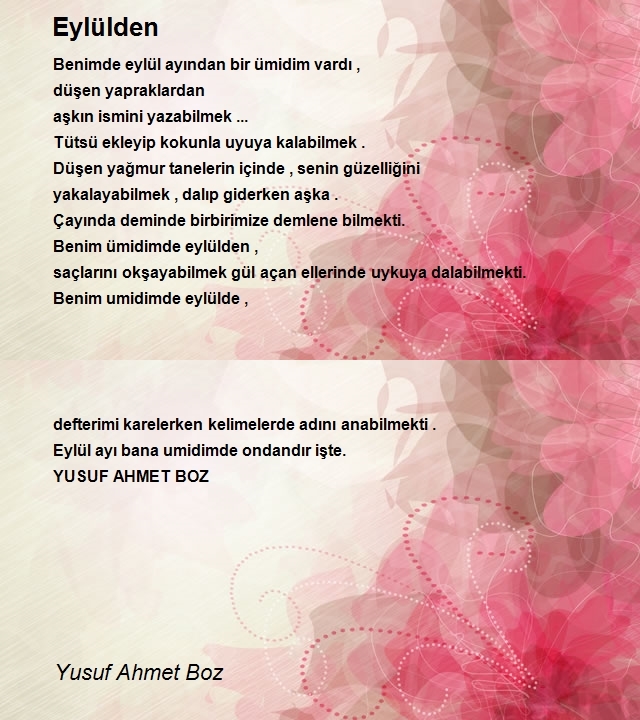 Yusuf Ahmet Boz