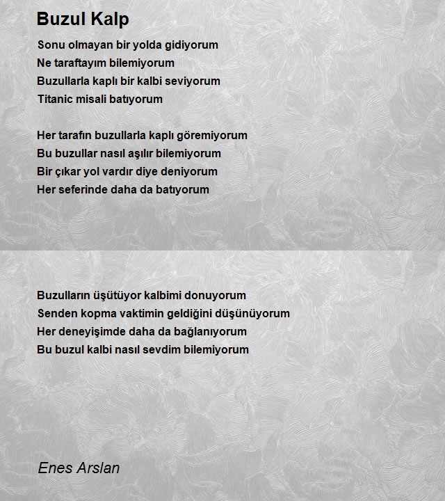 Enes Arslan