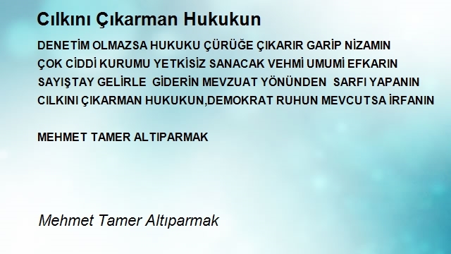 Mehmet Tamer Altıparmak