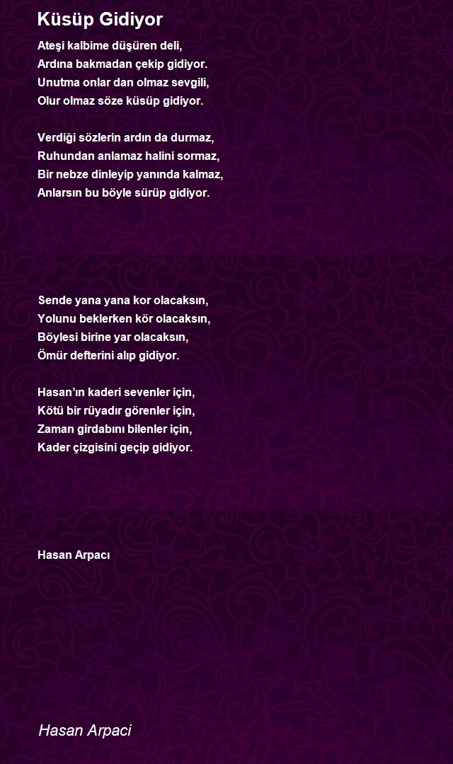 Hasan Arpaci