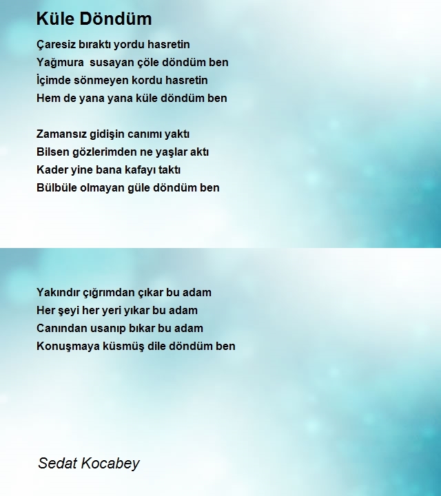 Sedat Kocabey