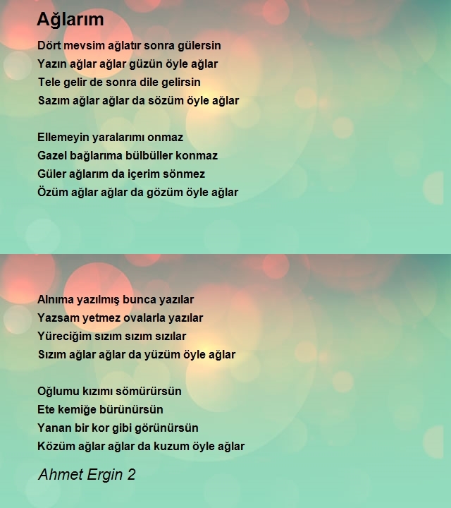 Ahmet Ergin 2