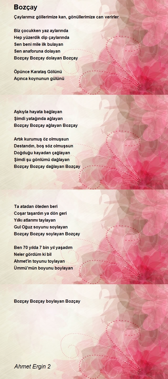 Ahmet Ergin 2