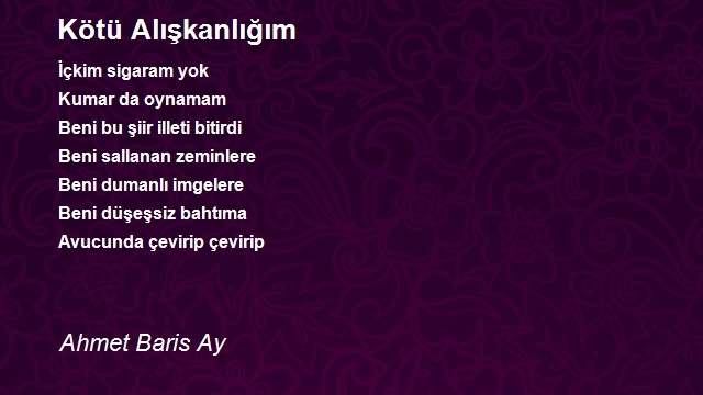 Ahmet Baris Ay