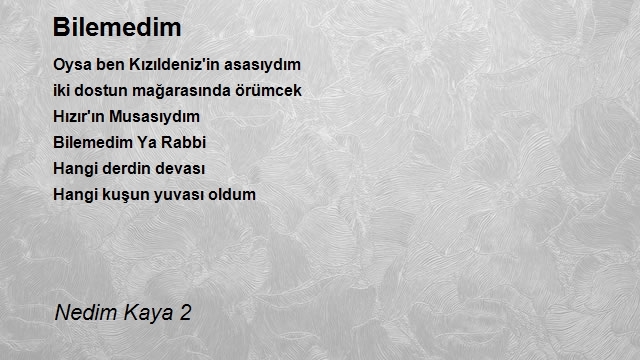 Nedim Kaya 2