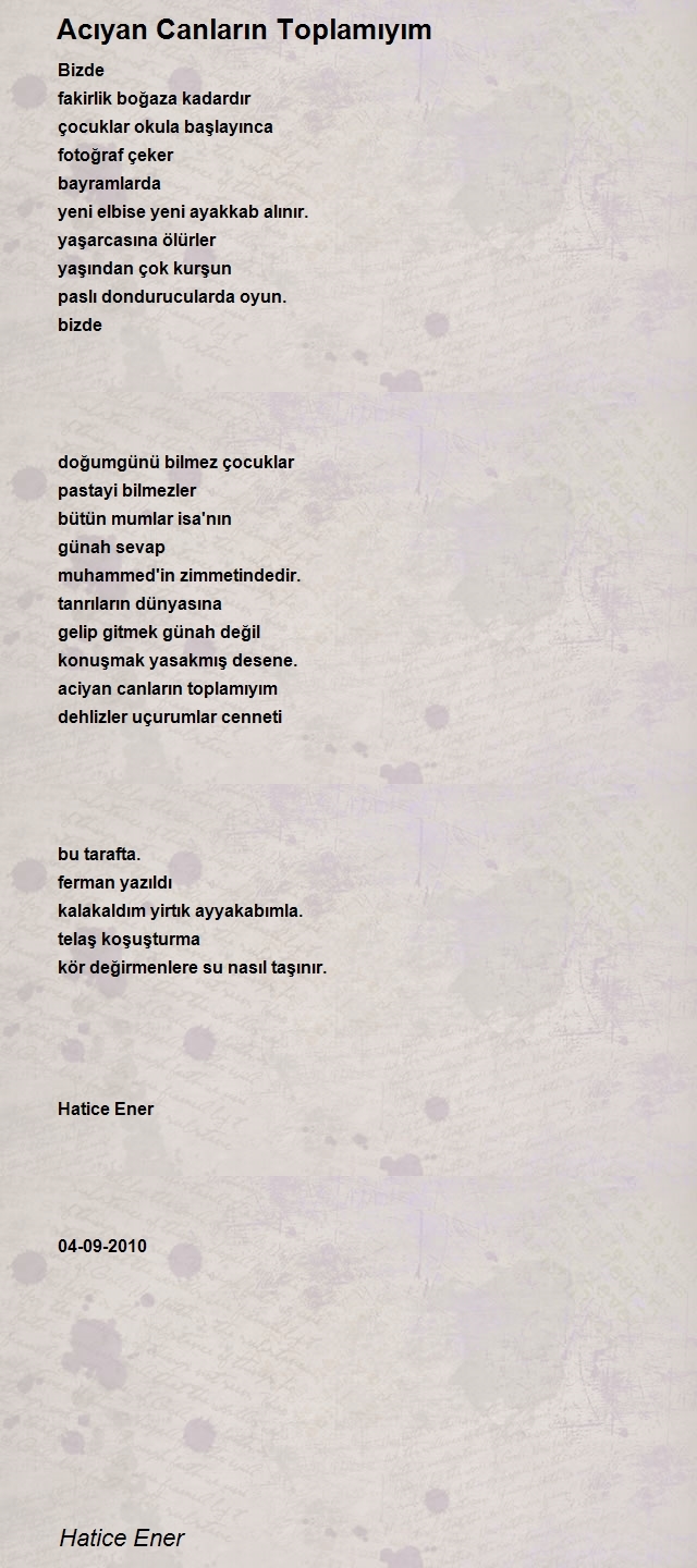 Hatice Ener