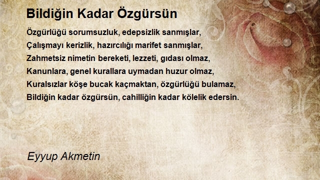 Eyyup Akmetin