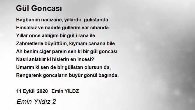 Emin Yıldız 2