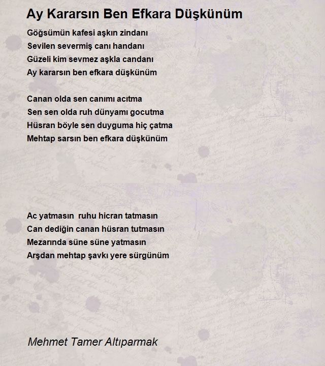 Mehmet Tamer Altıparmak