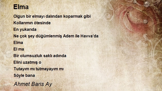 Ahmet Baris Ay