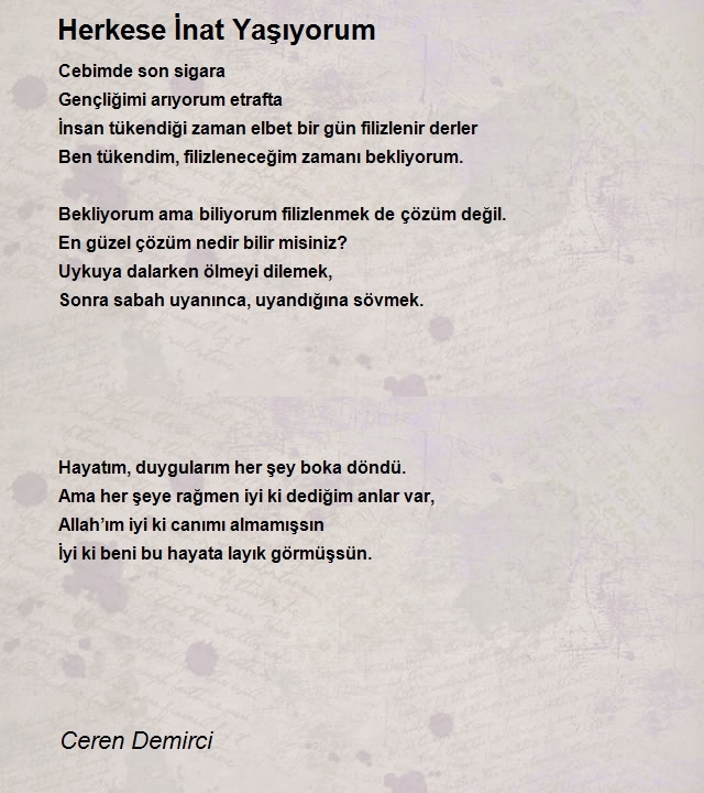 Ceren Demirci