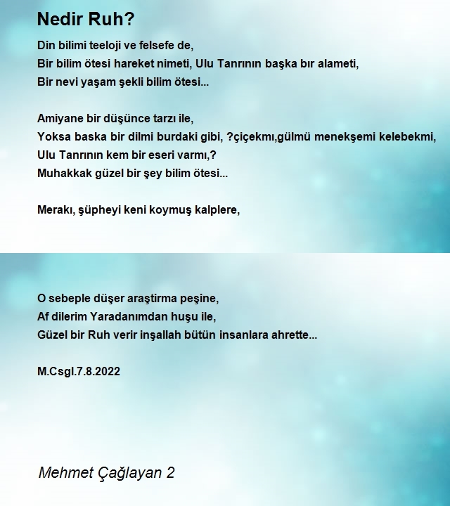 Mehmet Çağlayan 2