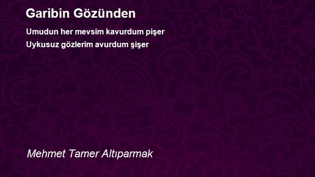 Mehmet Tamer Altıparmak