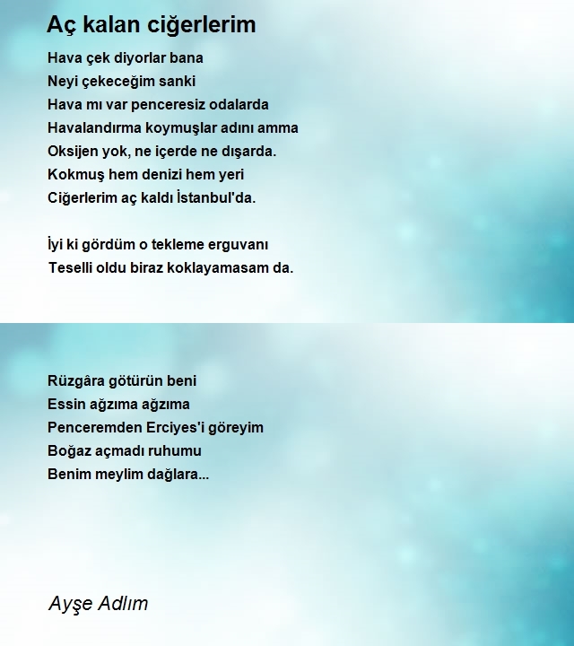 Ayşe Adlım