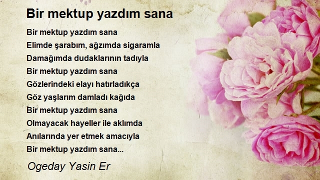 Ogeday Yasin Er