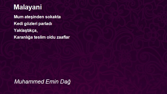 Muhammed Emin Dağ