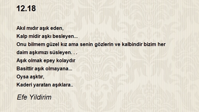 Efe Yildirim