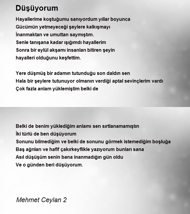 Mehmet Ceylan 2