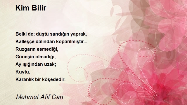 Mehmet Afif Can