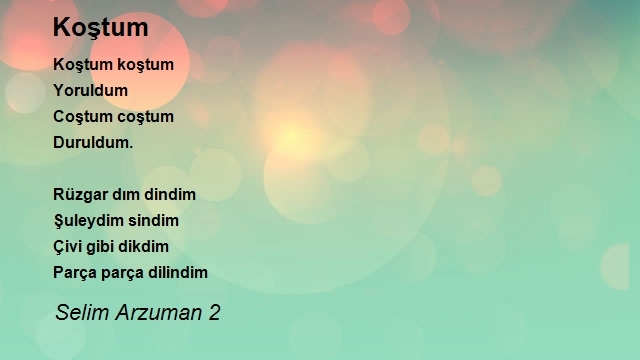 Selim Arzuman 2